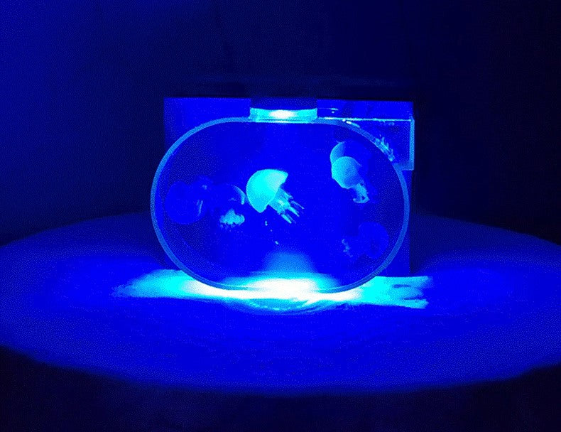 Oval Mini Desktop Jellyfish Aquarium Tank 1.8L