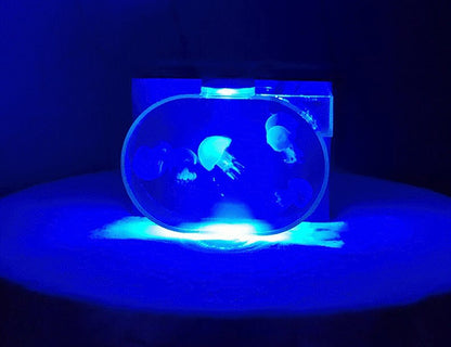 Oval Mini Desktop Jellyfish Aquarium Tank 1.8L